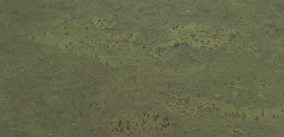 Dekorativ Väggkork Exclusive Green 600x300x3mm