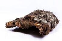 Råbark gjord av naturkork - 2