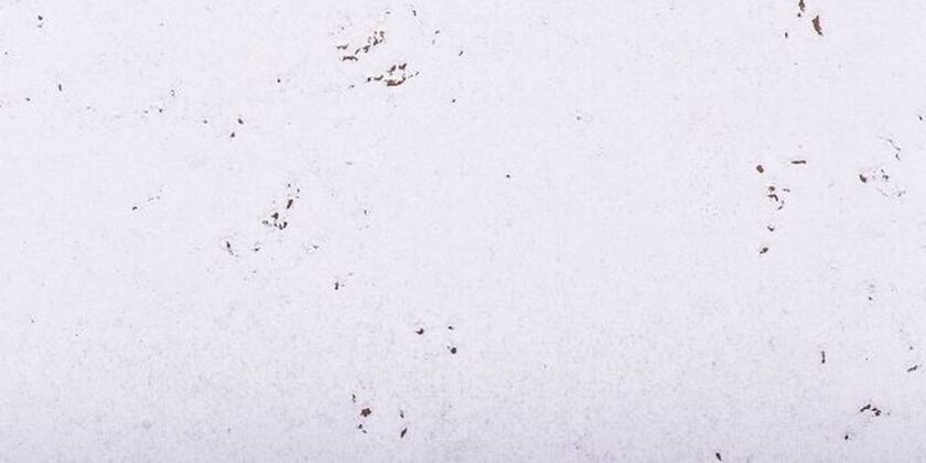 Väggkork Malta Snow