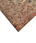 Dekorativ Väggkork Exclusive Ginger 600x300x3mm - 2