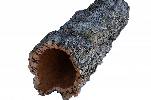 Korkrör, rå bark