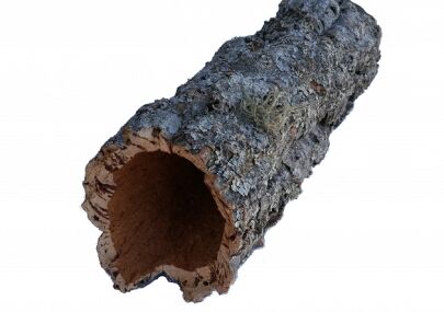 Korkrör, rå bark