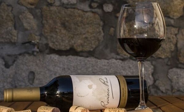 Allt du alltid velat veta om kork